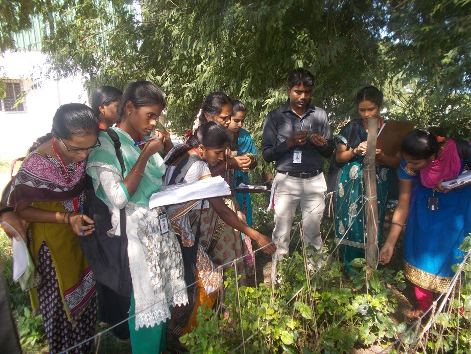 Botanical Tour 15-16